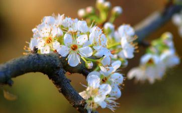 2023年躲太岁时刻 兔年哪些属相要躲春