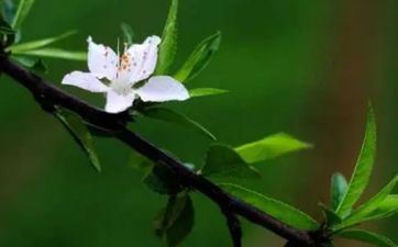 2023年立春日开业好不好 2023年立春是倒闭大吉好时机吗