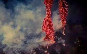 2023年初一出行方位 新年出行哪方大利