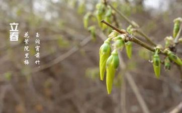 立春是2023的几月几日 立新年气的特色和习俗