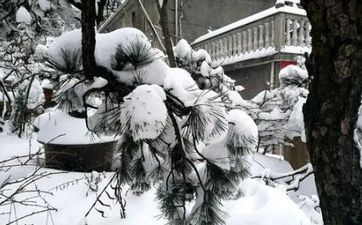 2023年岁除那天属什么 岁除夜的考究有哪些