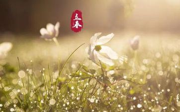 癸卯年立春是哪一天2023 立春的风俗有哪些