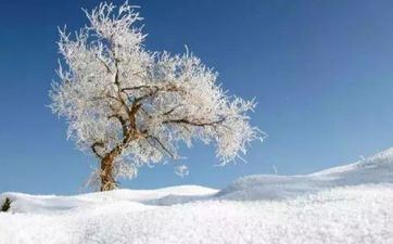 霜降摄生 霜降应该怎么摄生