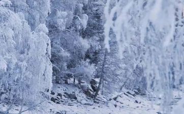 大寒节气有什么忌讳吗 都有什么考究？