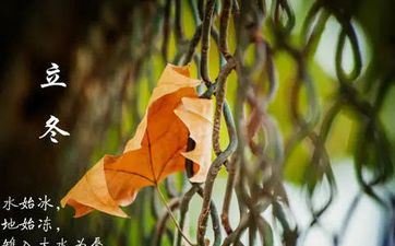 2022年11月7日是什么节气 本年立冬是十月(大)十四