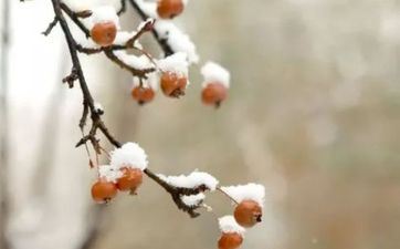 2022年大雪节气能够同房吗 大雪的忌讳有哪些