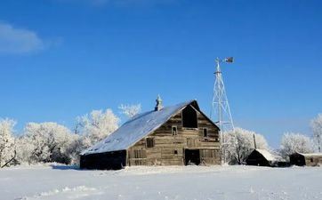 2022年立冬出世的虎好吗 出世的宝宝有说法吗