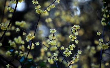 2023年立春是阴历哪一天哪一个时刻点