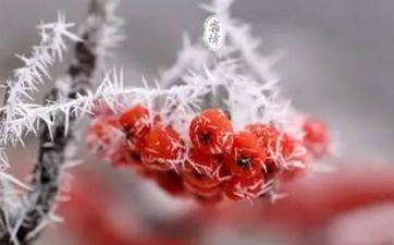 2022年10月23日霜降倒闭好么 2022年10月23日商铺经营吉祥吗