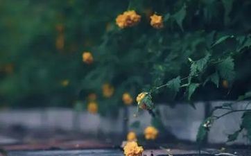 2022年白露后气温会下降吗 2022白露气候有什么改变