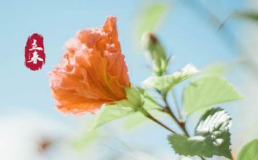 2023年立春是几月几号几点几分?2023年立春详细时刻 2023年立春是几月几号几点几分?2023年立春详细时刻