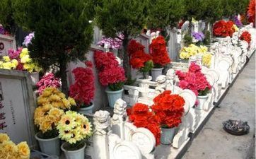 2023年4月5日清明节这天领证涵义好不好