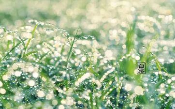 2022年白露后13天走运吗 超简略的转运办法