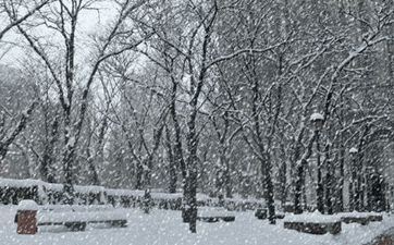 2022年11月7日立冬适不适合装饰房子 2022年11月7日能够装饰房子吗