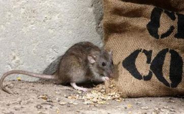 2023正月初九理发好吗 大年初九是理发好日子吗