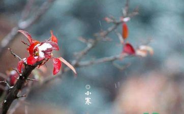 2023年小寒能够动土吗 小寒能够动土的注意事项