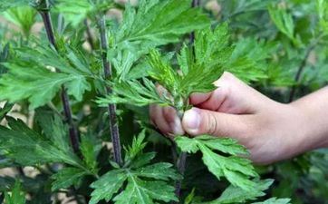 端午节忌讳不能做什么