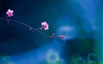 立春那天为什么要躲春？2023躲春能够睡觉吗？