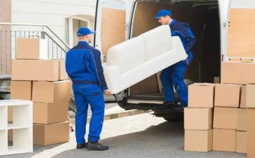 2023年3月12日植树节搬迁日子好不好 2023年3月12日能够搬新家吗