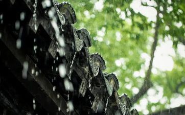 2022年秋分伏萝卜二伏菜三伏里头种白菜 适应时令播种