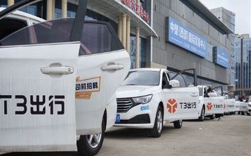 民间六种能够驱邪的植物 能够驱邪避灾