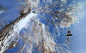 2022年冬至后哪天合适安葬 2022年冬至安葬好日子