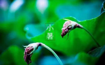 2022年小暑的黄历忌讳 当天不能同房吗