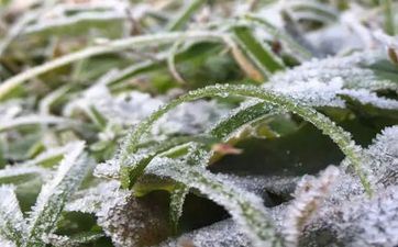 2022年10月8日搬迁会开运吗 2022年10月8日寒露合适搬新家吗 2022年10月8日搬迁会开运吗 2022年10月8日寒露合适搬新家吗