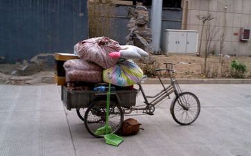 虎和蛇经商财气怎么 能否一同发财致富