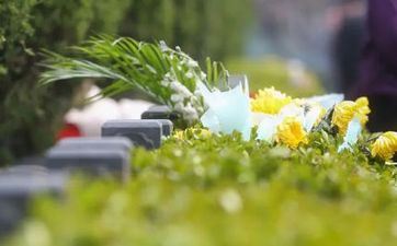 2023年阴历二月初九日子怎么样?初一、十五会忌讳理发剪头发吗 2023年阴历二月初九日子怎么样?初一、十五会忌讳理发剪头发吗