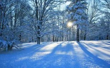 2023年1月20日大寒合适领证吗 2023年1月20号是领证好日子吗