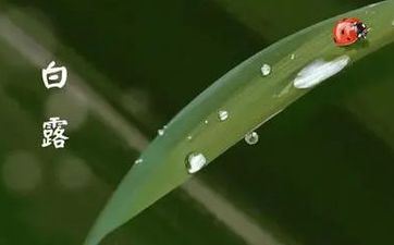 2022年白露节气领结婚证适宜吗 挂号要预备什么东西