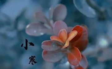 大寒是哪个时节的节气 大寒是冬天的节气吗