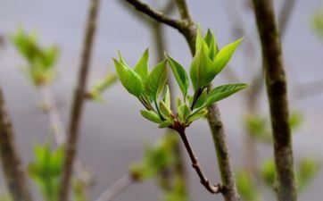 2023躲春坐在哪个方位 立春躲春有什么忌讳吗