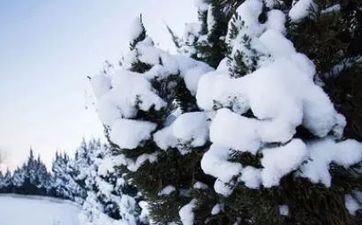 2023年大寒当天怎么样 2023大寒是不是黄道吉日？