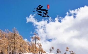 属相兔在冬至节气出世命运好不好？命理剖析