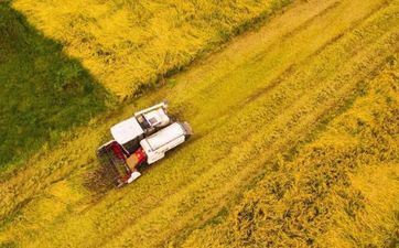 猴日冲虎煞南能够理发吗？风俗中关于理发的忌讳有哪些？