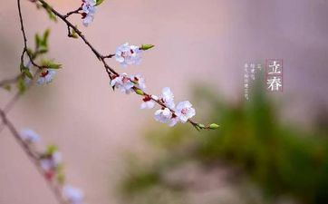 正月十五元宵节有哪些习俗 有什么活动 正月十五元宵节有哪些习俗 有什么活动