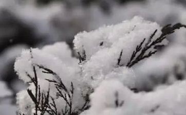 2021年大雪留意事项有哪些？有哪些关于大雪的谚语？