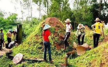 三种人不能上坟 哪三种人不能去上坟