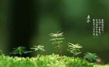 2023双春年有什么忌讳?呈现两个立春的原因 2023双春年有什么忌讳?呈现两个立春的原因