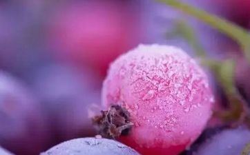 2023年霜降是几月几号 是阴历哪一天 2023年霜降是几月几号 是阴历哪一天