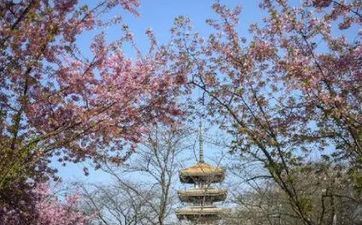 2023年4月清明节放假时刻 2023年清明节是放3天吗