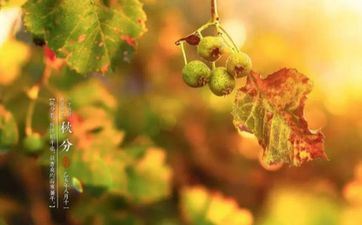 2022秋分是几月几日 2022年秋分节气是哪一天