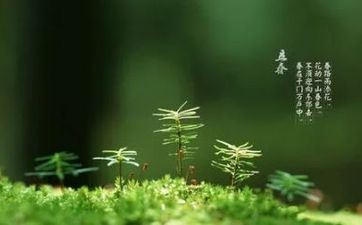 立春出世的孩子命运好吗 宝宝的运势怎么样