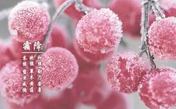 2021年霜降节气时刻有几天?霜降跟降霜是相同的吗? 2021年霜降节气时刻有几天?霜降跟降霜是相同的吗?