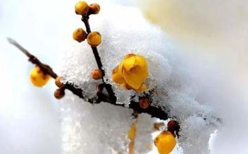 2022年腊月廿九(2023年1月20日)大寒前后能动土么？