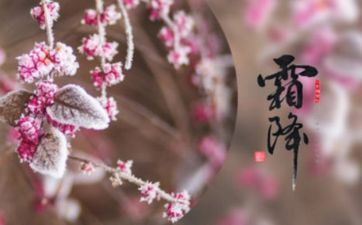 2022年霜降是阴历几月几日 霜降吃什么传统食物