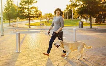 2023年8月属狗的搬新房好日子查询 2023年8月哪天是黄道好日子