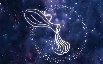 新年生的孩子什么星座 新年出世的人是水瓶座